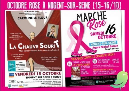 Octobre Rose : La Marche Rose (Nogent sur Seine)